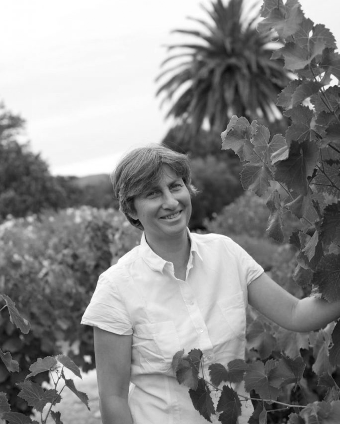 Domaine de La Tour du Bon 